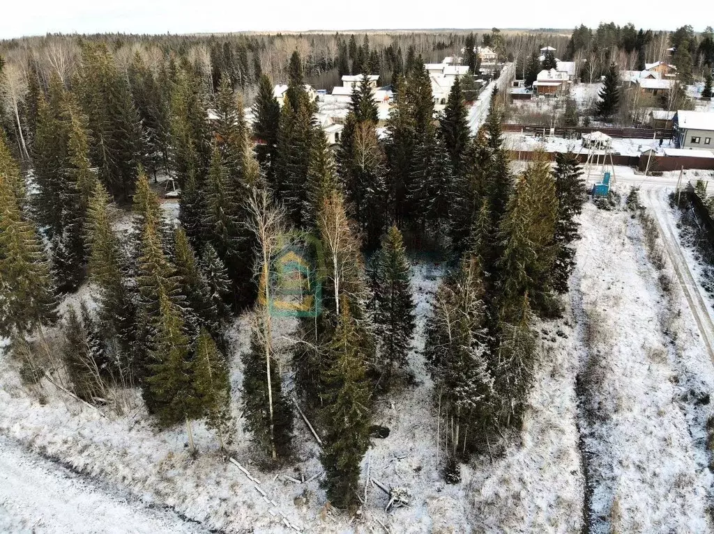 Участок в Ленинградская область, Всеволожский район, Лесколовское ... - Фото 2