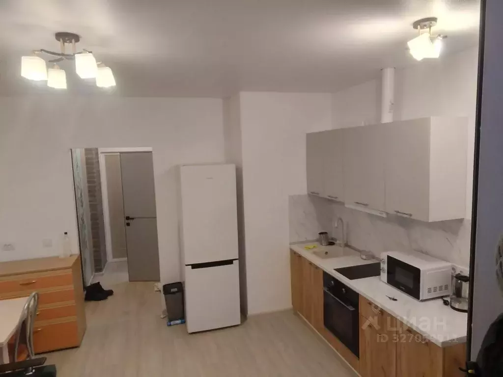 Студия Ленинградская область, Всеволожский район, пос. Бугры ул. ... - Фото 1