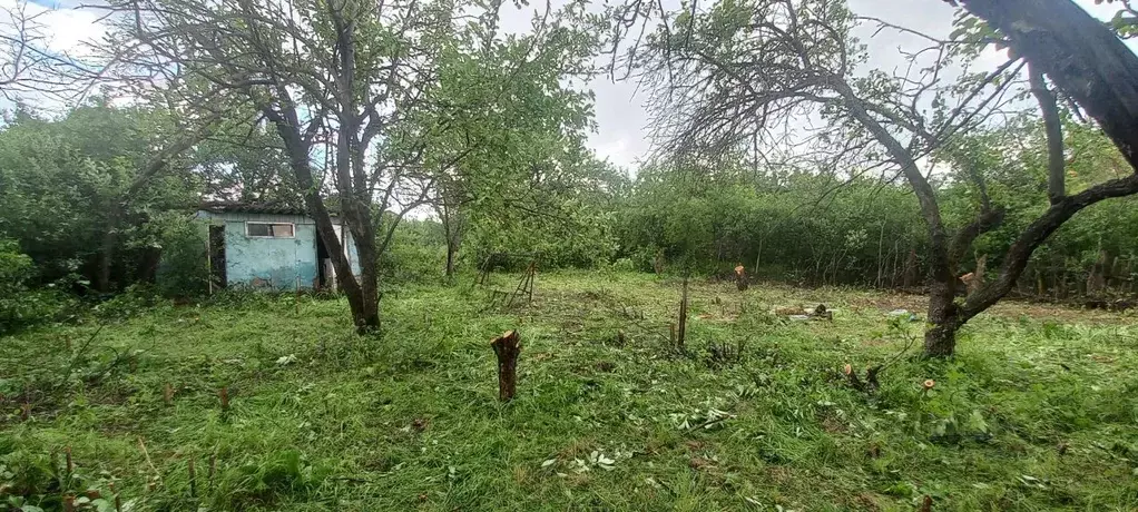 Участок в Самарская область, Красноярский район, Новосемейкино ... - Фото 1