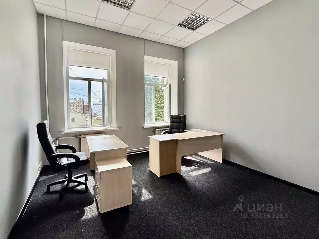 Офис в Санкт-Петербург 8-я Красноармейская ул., 20А (19 м) - Фото 1