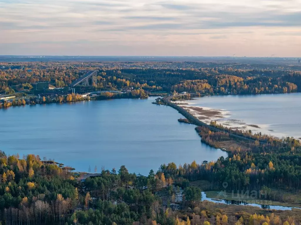 Участок в Ленинградская область, Всеволожский район, Лесколовское ... - Фото 0