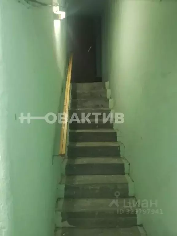 Помещение свободного назначения в Новосибирская область, Новосибирск ... - Фото 1