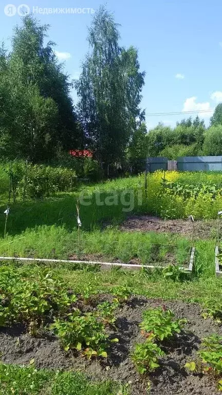 Дом в Башковское сельское поселение, дачное товарищество ... - Фото 1