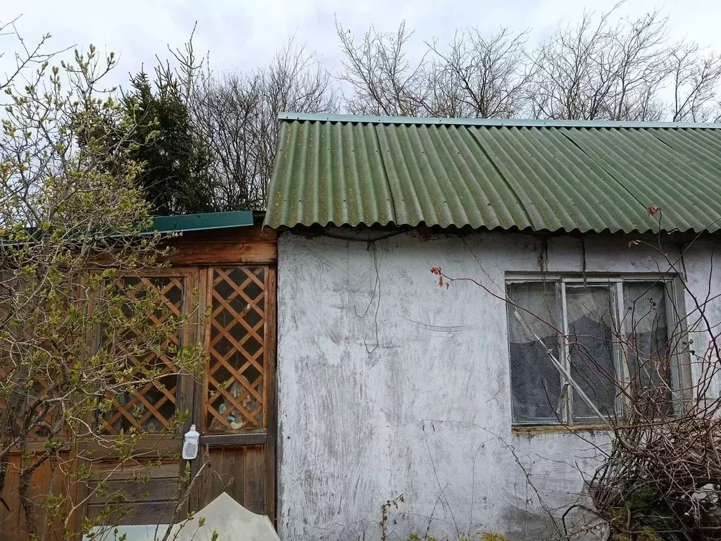 Участок в Московская область, Дубна Восход СНТ, ул. Лесная (4.0 сот.) - Фото 2