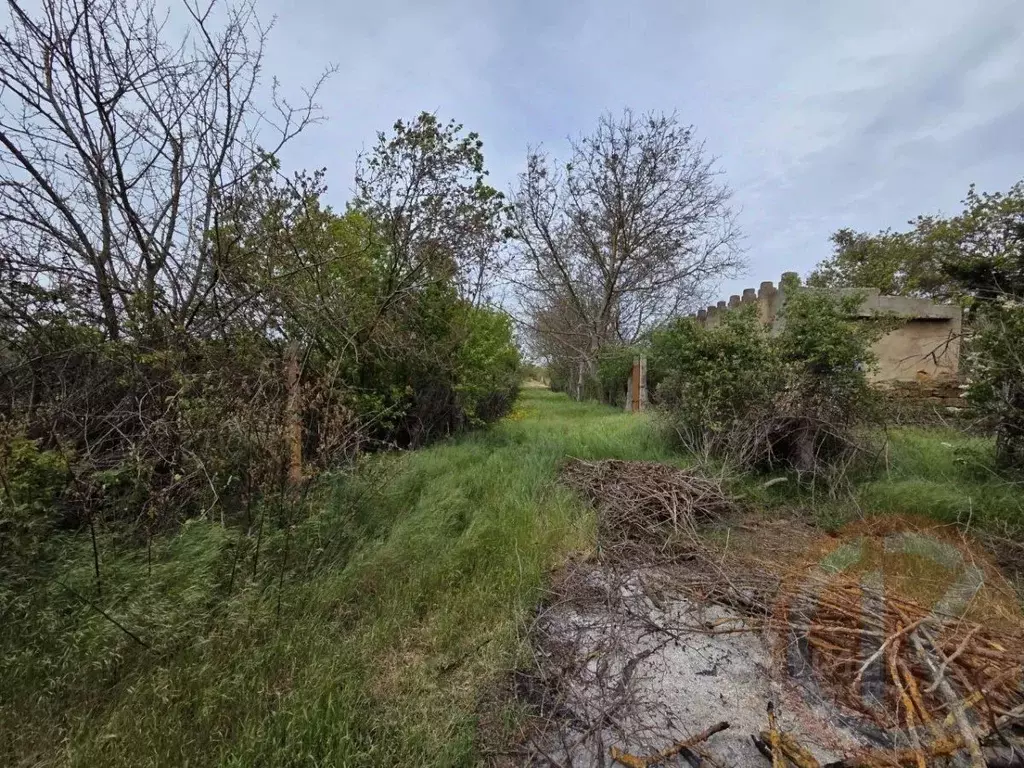 Участок в Крым, Саки Химик-1 СНТ,  (4.0 сот.) - Фото 1