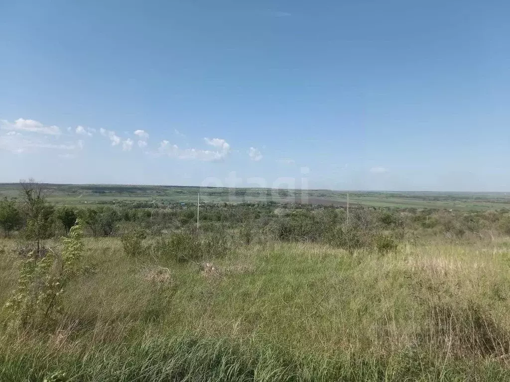 Участок в Ростовская область, Родионово-Несветайский район, ... - Фото 1