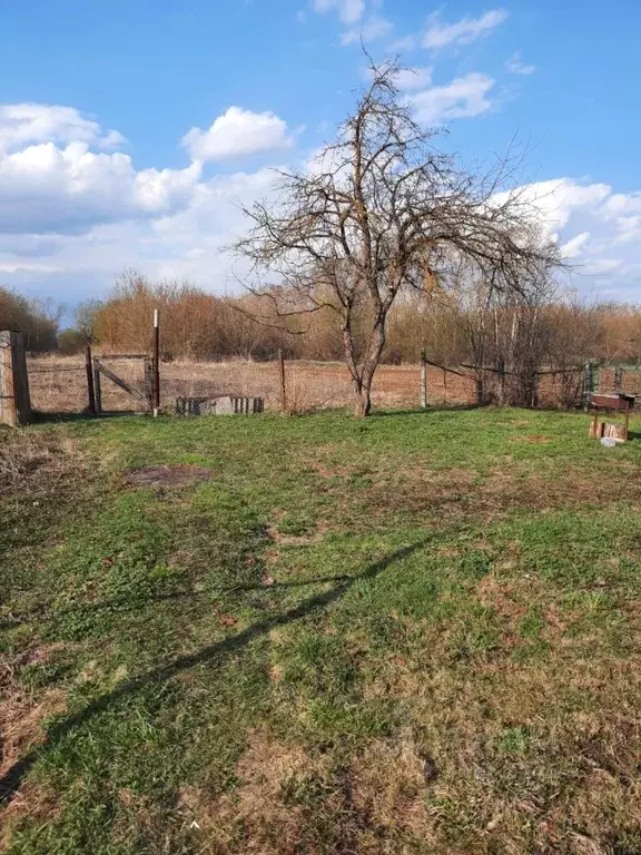 Участок в Московская область, Коломна городской округ, с. Бояркино  ... - Фото 0