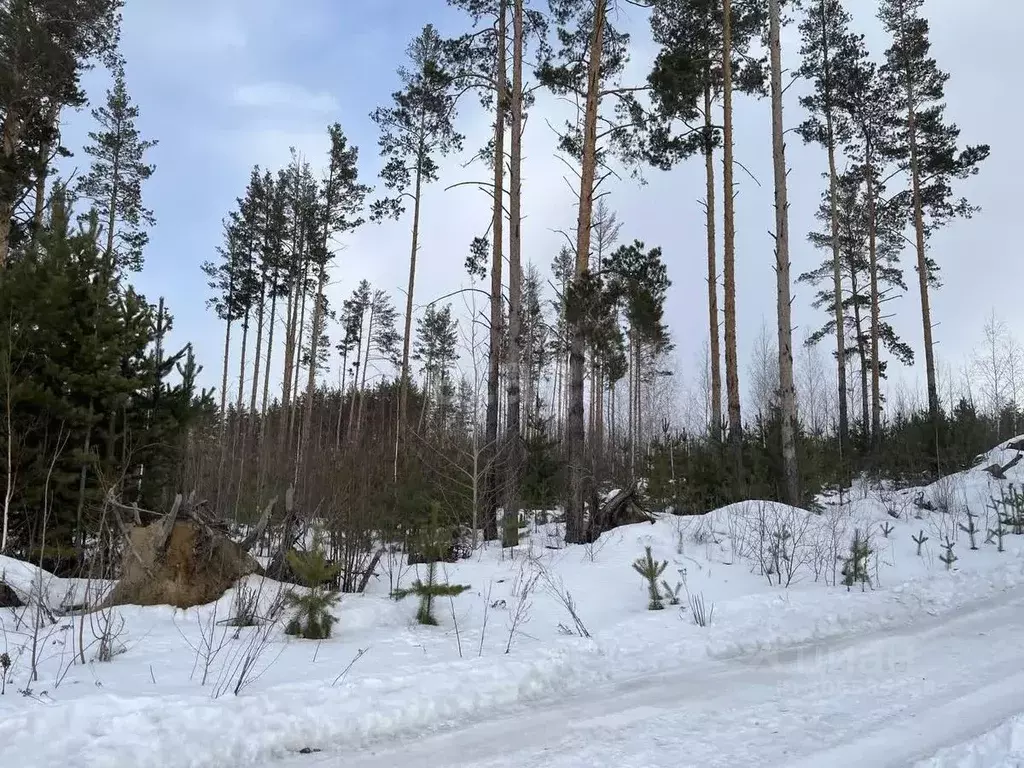 участок в челябинская область, кыштым ясная ул. (12.4 сот.) - Фото 0