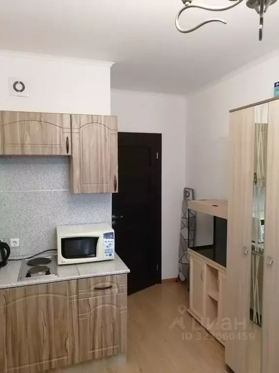 Студия Санкт-Петербург просп. Ветеранов, 169к3 (24.0 м) - Фото 1