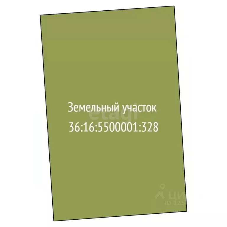 Участок в Воронежская область, Новоусманский район, Отрадненское ... - Фото 2