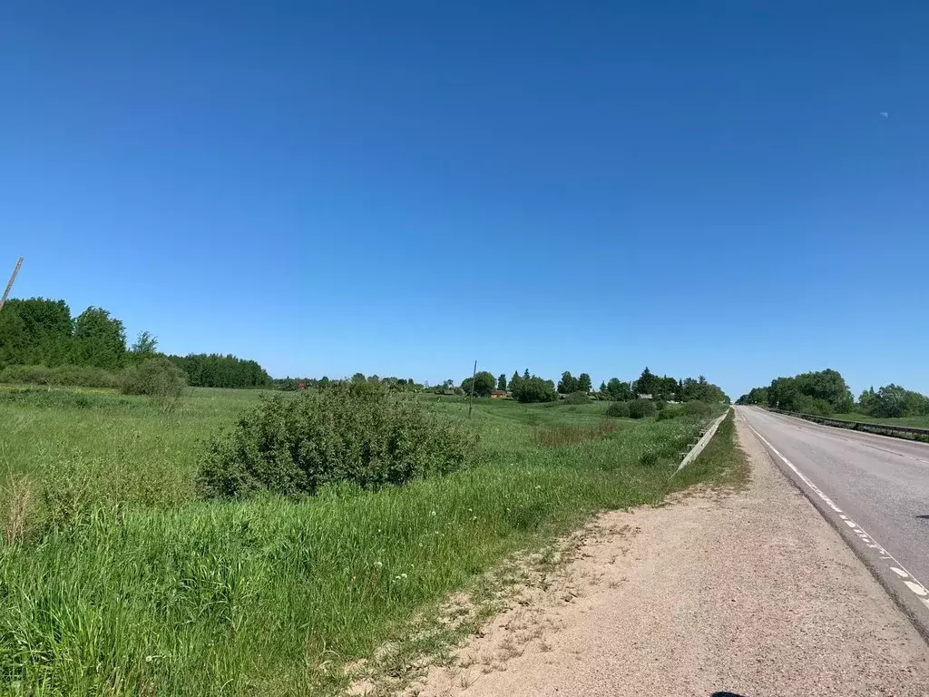 Участок в Новгородская область, Шимск рп  (9.0 сот.) - Фото 1
