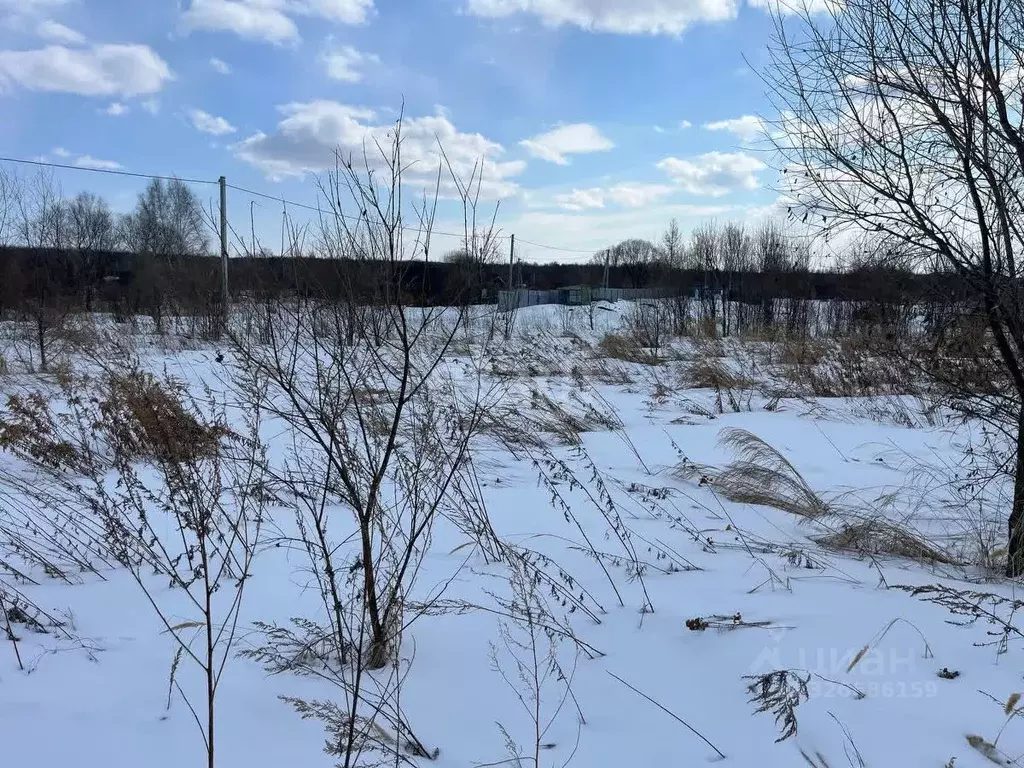 Участок в Хабаровский край, Хабаровский район, с. Некрасовка, ... - Фото 1