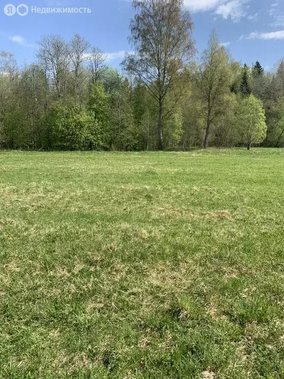 Участок в Лопухинское сельское поселение, деревня Горки (7 м) - Фото 1