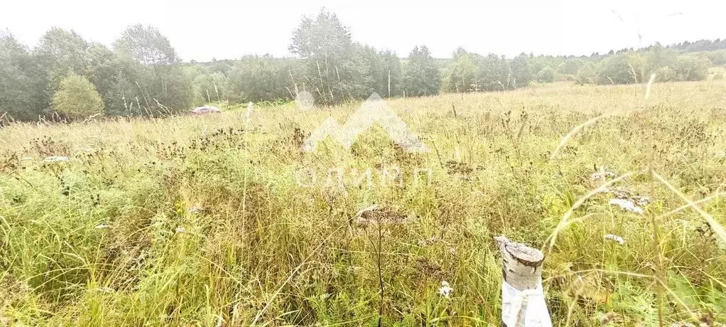 Участок в Вологодская область, д. Сусолово  (27.0 сот.) - Фото 2