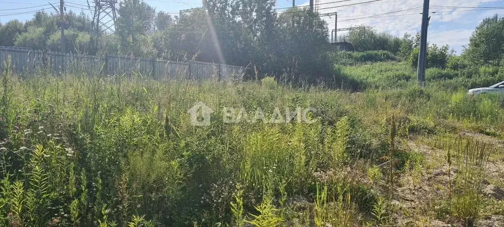 Участок в Ленинградская область, Выборгский район, Рощино пгт ул. ... - Фото 1