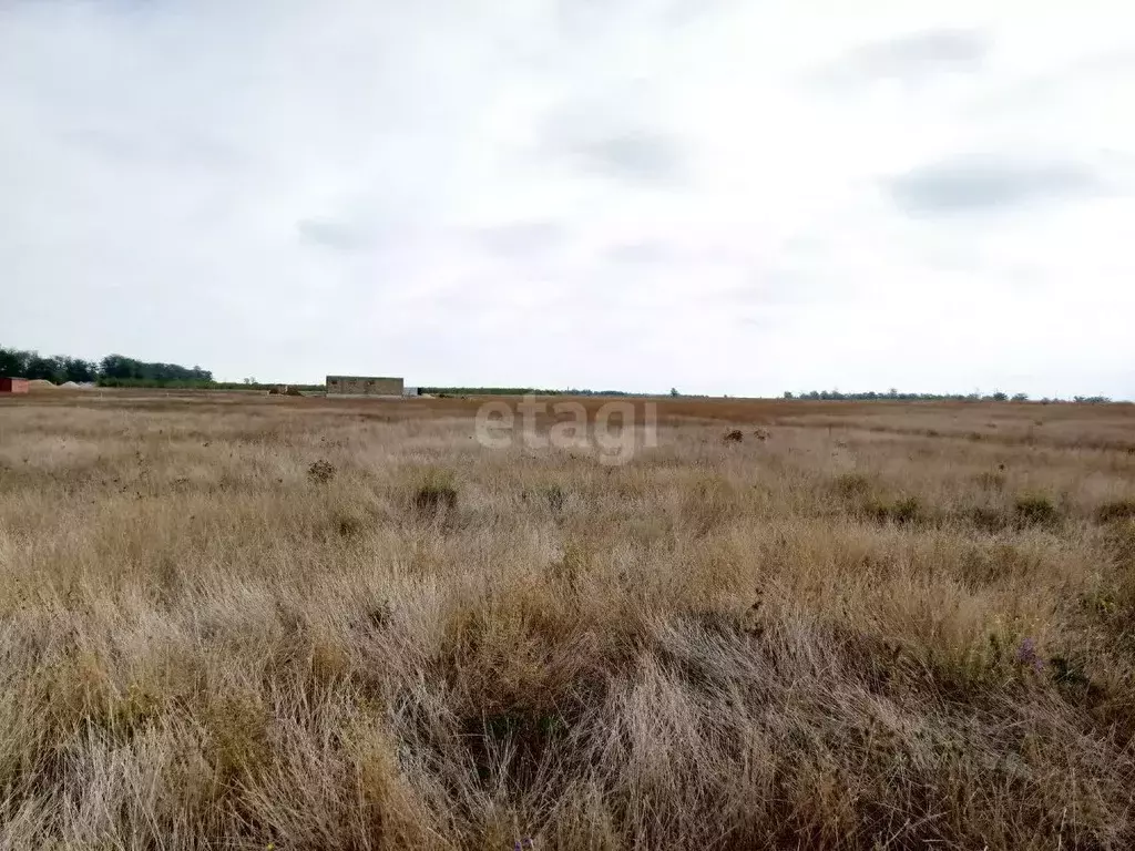 Участок в Крым, Сакский район, с. Лесновка ул. Солнечная (6.0 сот.) - Фото 0