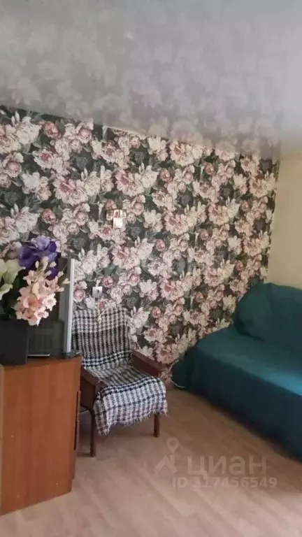 1-к кв. Брянская область, Брянск Литейная ул., 50 (30.8 м) - Фото 0
