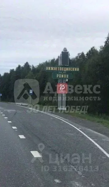 Участок в Тюменская область, Нижнетавдинский район, Лесная сказка СНТ ... - Фото 1