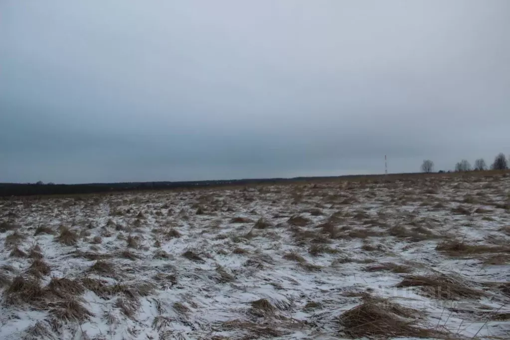 Участок в Московская область, Шаховская муниципальный округ, д. Дор  ... - Фото 1