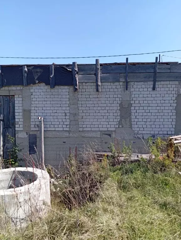 Участок в Самарская область, Сызранский район, с. Заборовка Трудовая ... - Фото 1