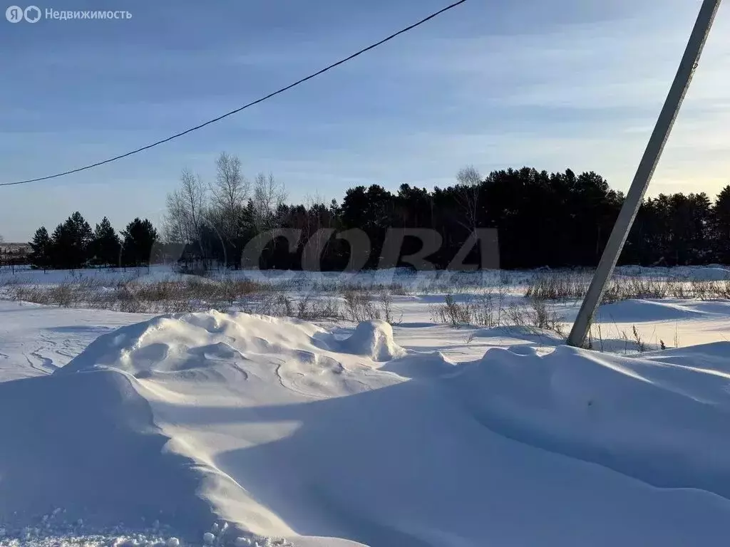 Участок в Тюменский муниципальный округ, деревня Криводанова (25.6 м) - Фото 2