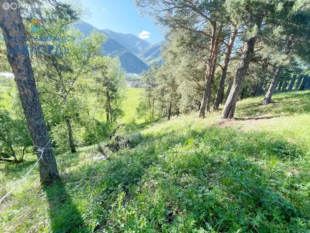 Участок в село Чемал, Прикатунская улица (12.5 м) - Фото 1