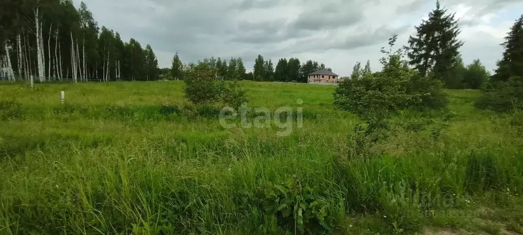 участок в смоленская область, смоленский муниципальный округ, . - Фото 1