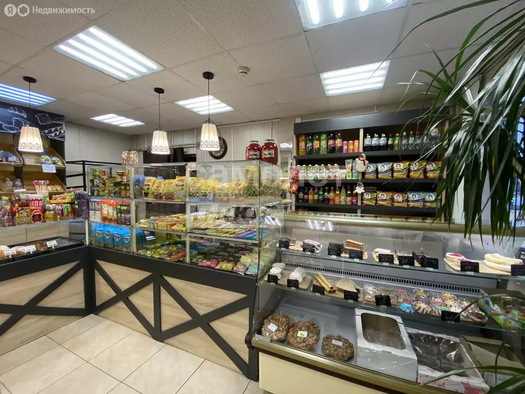 Помещение свободного назначения (44 м) - Фото 1