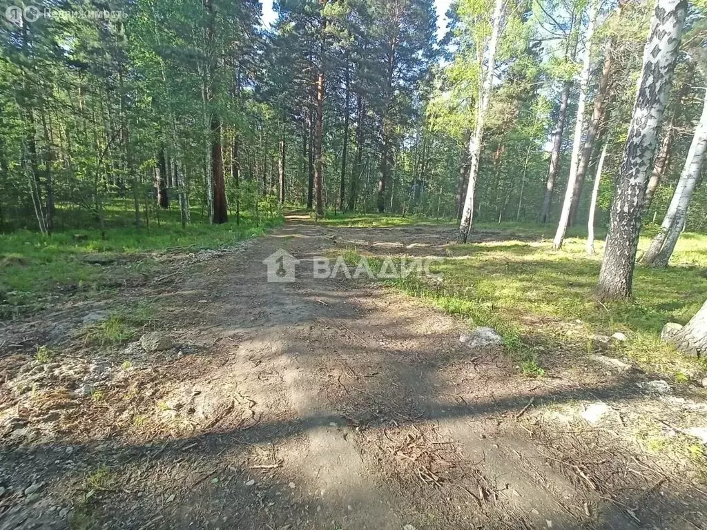 Участок в Ангарск, СНТ Берёзовая роща, квартал Поле 1 (15 м) - Фото 0