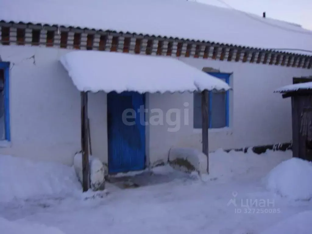 Склад в Курганская область, Шатровский муниципальный округ, д. Ударник ... - Фото 1