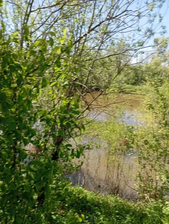 Участок в Пермский край, с. Платошино пер. Обозный (10.0 сот.) - Фото 1