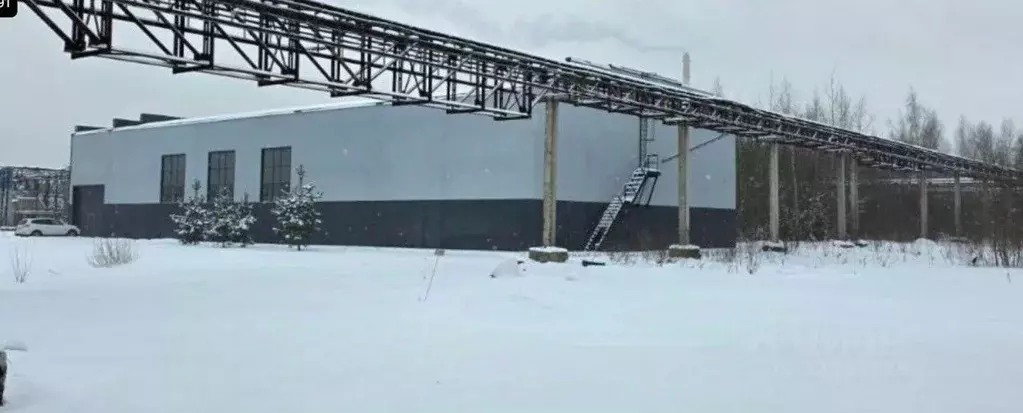 Производственное помещение в Ленинградская область, Всеволожск ул. ... - Фото 1