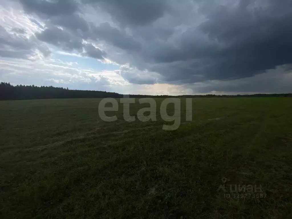 Участок в Свердловская область, Слободо-Туринский район, ... - Фото 2