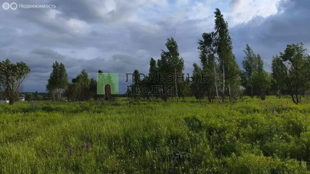 Участок в Орловский муниципальный округ, деревня Большая Рябцева (7.82 ... - Фото 0