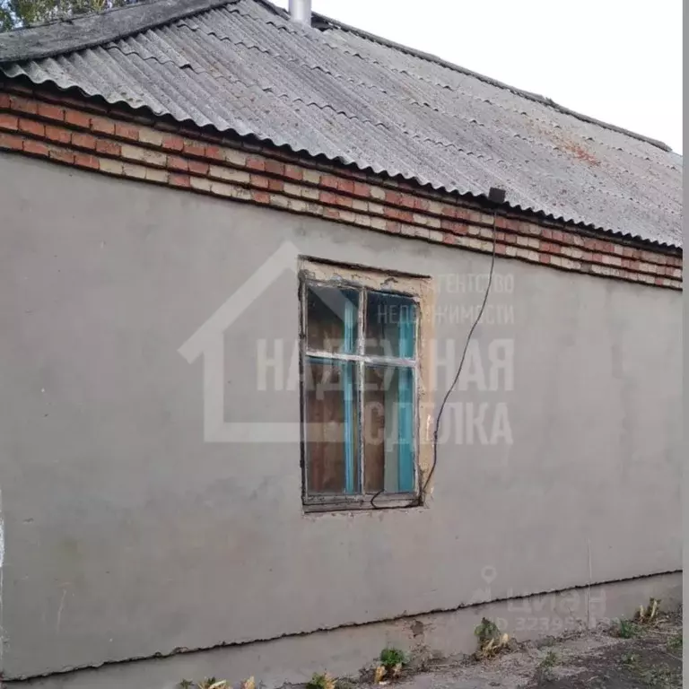 Дом в Алтайский край, Поспелихинский район, Клепечихинский сельсовет, ... - Фото 1