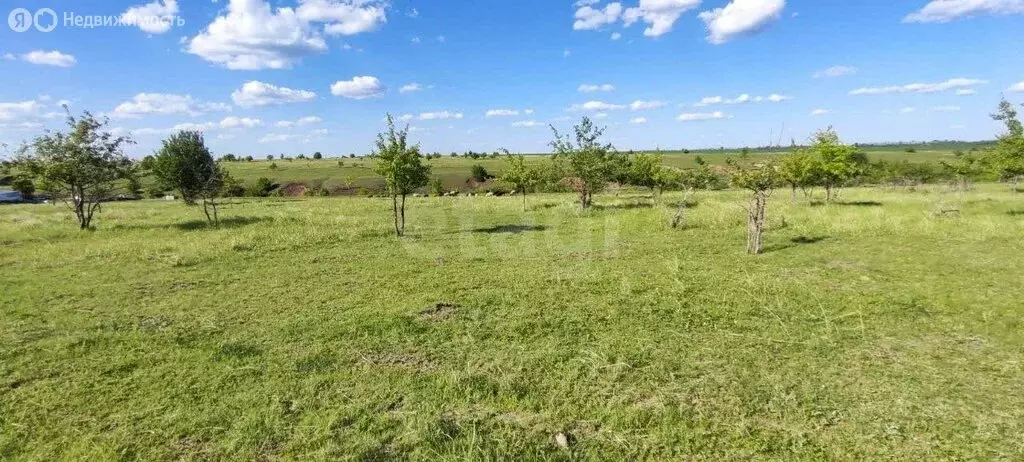 Участок в Рамонский район, село Русская Гвоздёвка (9 м) - Фото 1