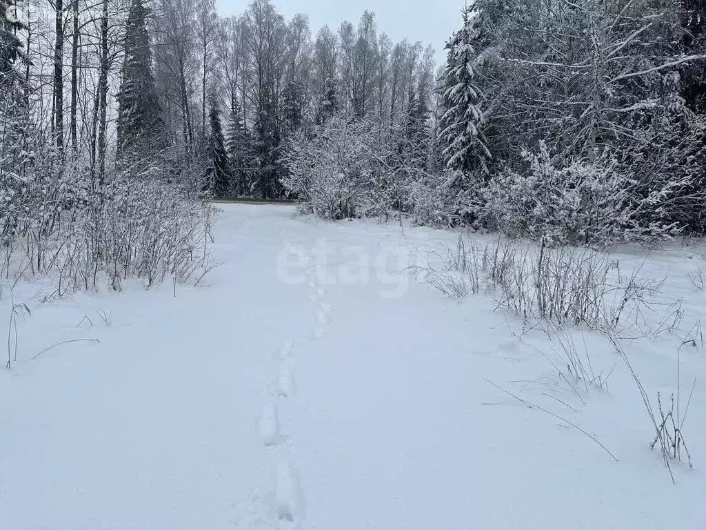 Участок в Кирово-Чепецкий район, село Бурмакино (10 м) - Фото 2