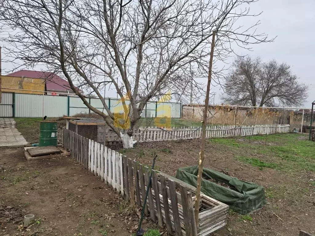 Участок в Астраханская область, Камызякский район, с. Иванчуг ул. ... - Фото 1