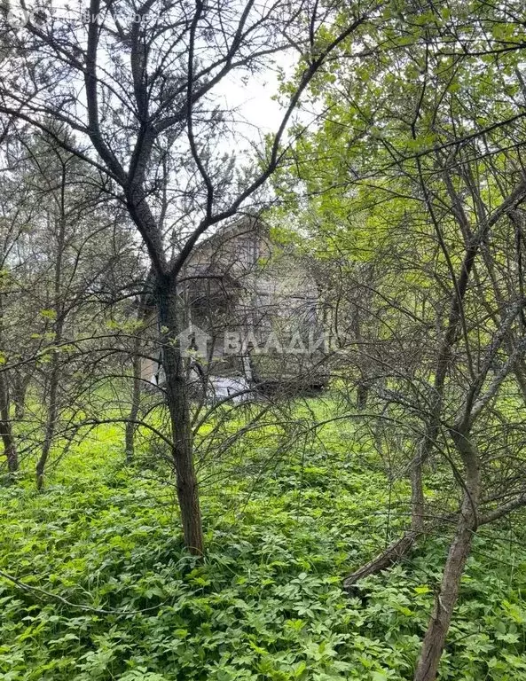 Дом в Богородский городской округ, СНТ Лесное-2, Центральная улица ... - Фото 1