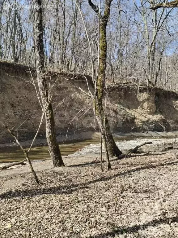 Участок в село Возрождение, улица Мягкая Щель (85 м) - Фото 0