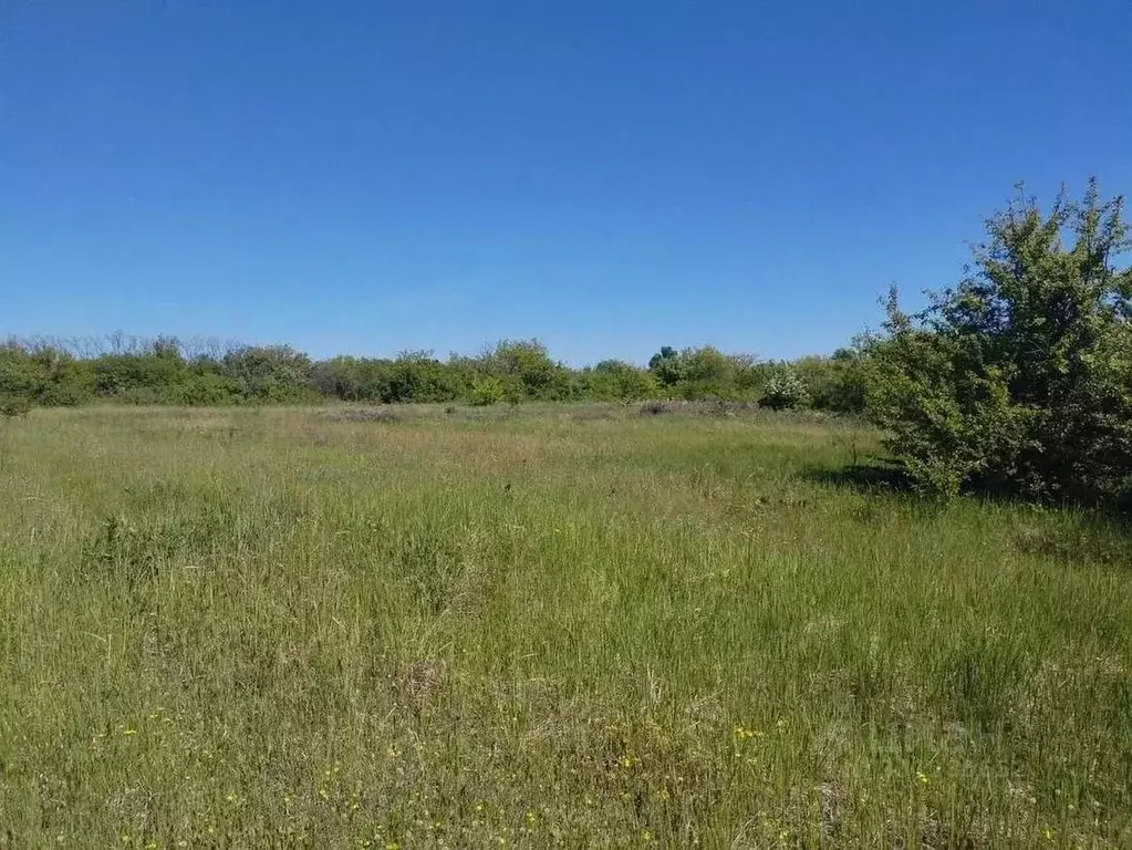 Участок в Белгородская область, Корочанский муниципальный округ, с. ... - Фото 2