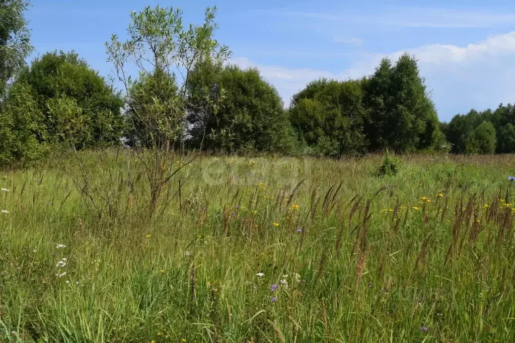 Участок в Калужская область, Перемышльский район, Хотисино с/пос, д. ... - Фото 1