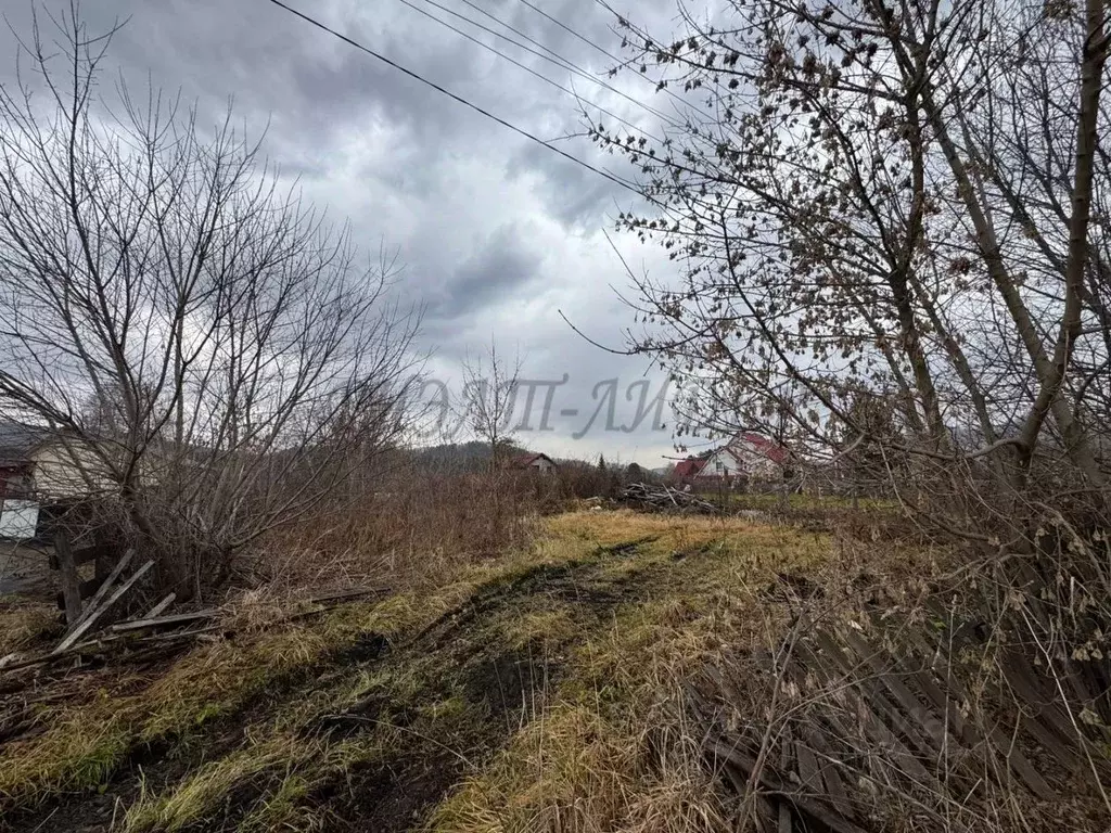 Участок в Алтай, Майминский район, с. Соузга Школьный пер. (13.0 сот.) - Фото 2