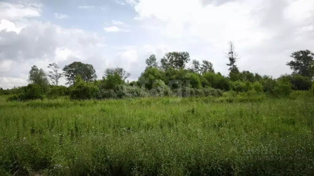 Участок в Новосибирская область, Новосибирский район, с. Кубовая, пос. ... - Фото 2