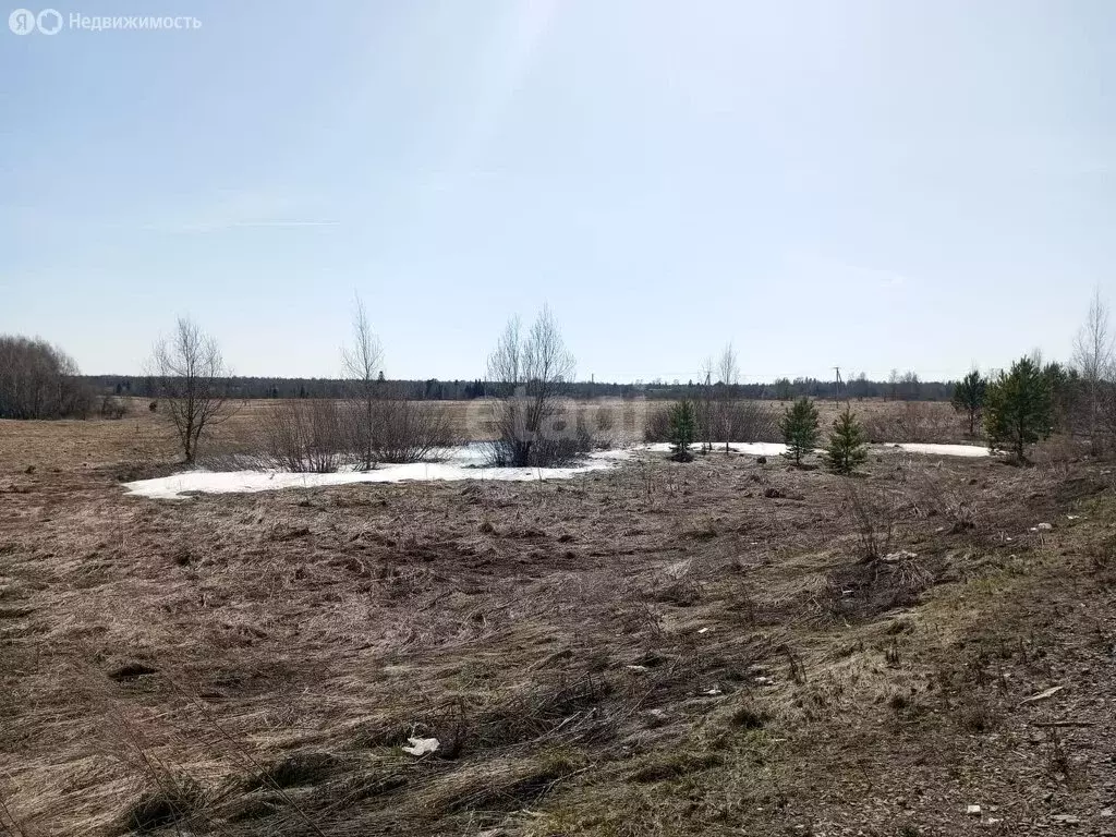 Участок в деревня Воронино, дачное некоммерческое партнёрство Родные ... - Фото 1