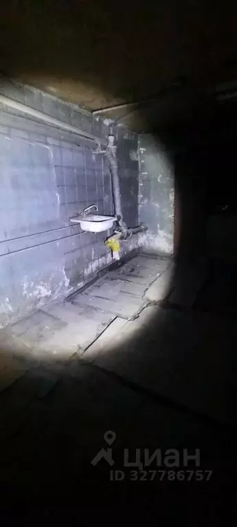 Помещение свободного назначения в Алтайский край, Барнаул ул. ... - Фото 2