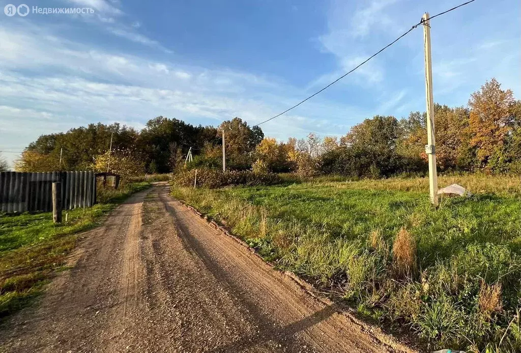 Участок в Дмитриевский сельсовет, СНТ Птицевод, 1 (14 м) - Фото 1