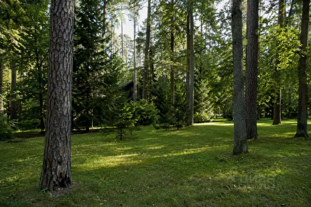 Участок в Московская область, Одинцовский городской округ, д. Жуковка, ... - Фото 2