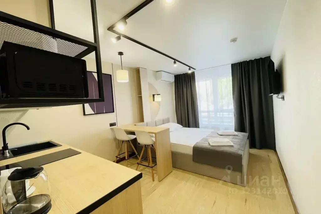 1-к кв. Алтайский край, Барнаул ул. Димитрова, 126 (29.0 м) - Фото 1