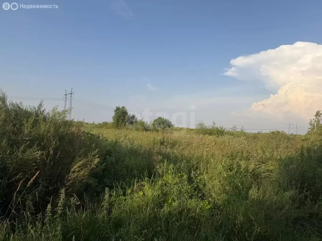 Участок в Тюмень, территория СОСН Корабельщик (8 м) - Фото 2